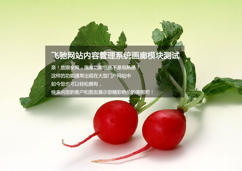 标签c：(x)最新加入品类栏目模板样式试